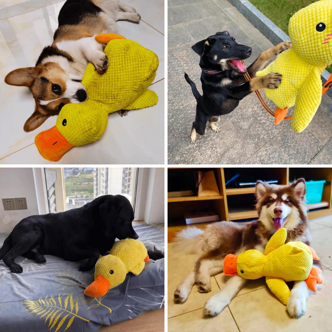 Hug-a-Duck™ Plush Toy for Dogs