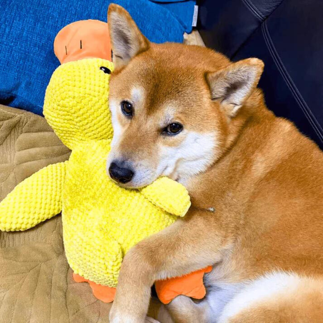 Hug-a-Duck™ Plush Toy for Dogs